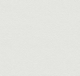 Čalounická koženka s hladkým povrchem, bílá